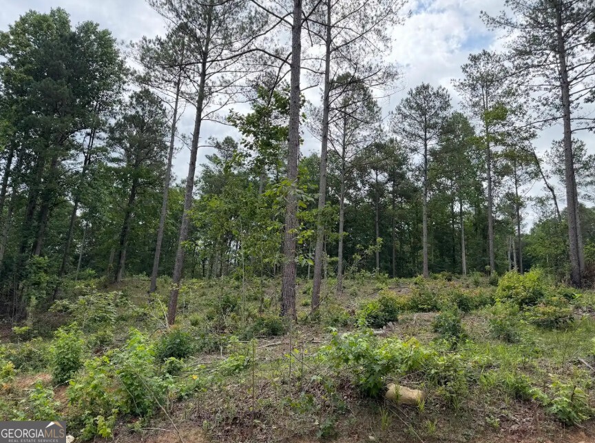 0 Mt Sinai Road, Unit LOT 1 Lula, GA 30554 - Photo 52 of 67