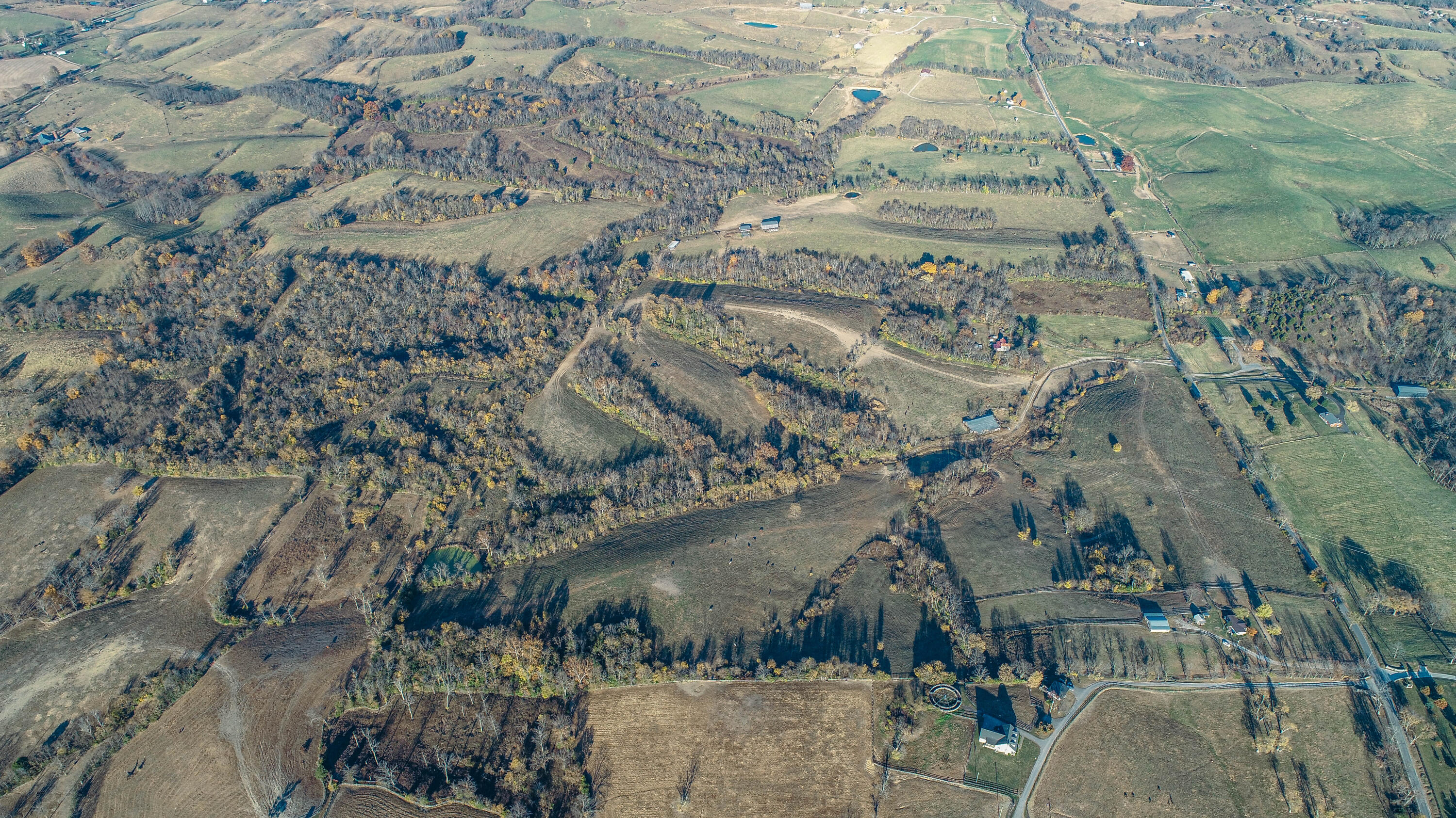 5563 Levy Road Paris, KY 40361 - Photo 20 of 23 DJI_0042