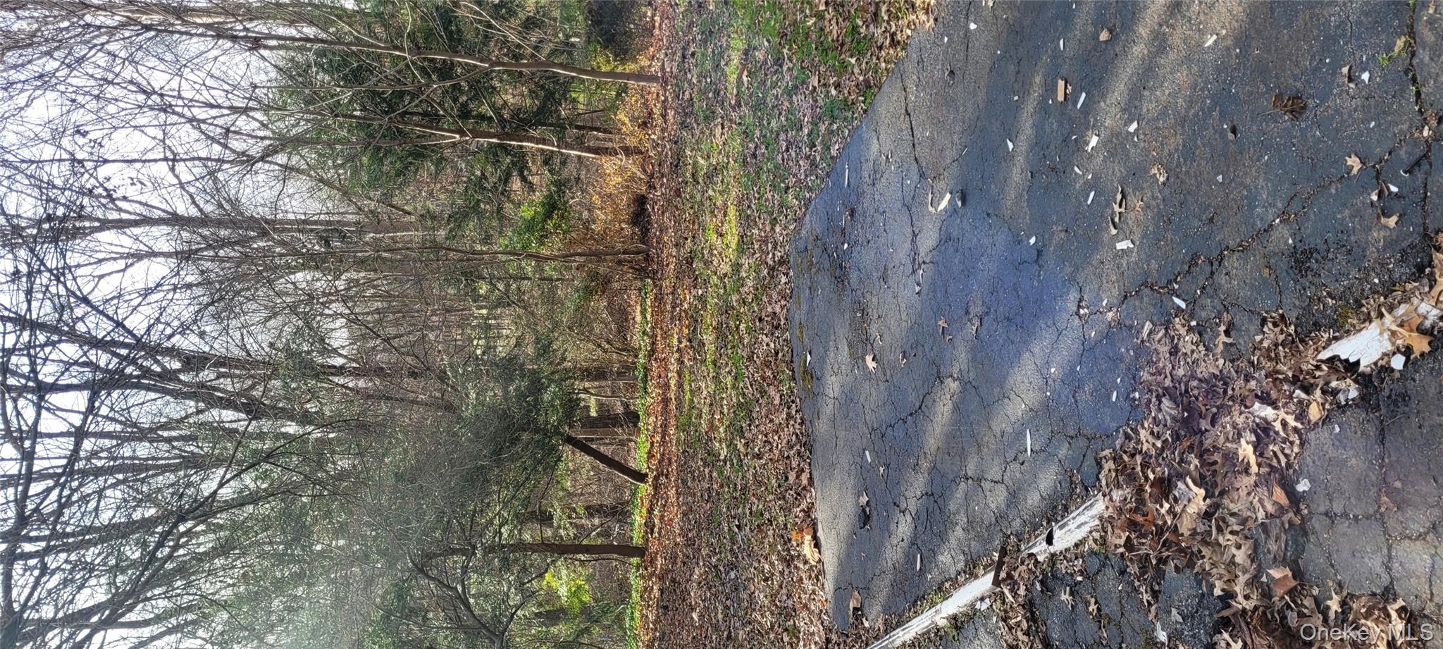 18 Kent Road Wappingers Falls, NY 12590 - Photo 7 of 30 a view of a yard with large trees