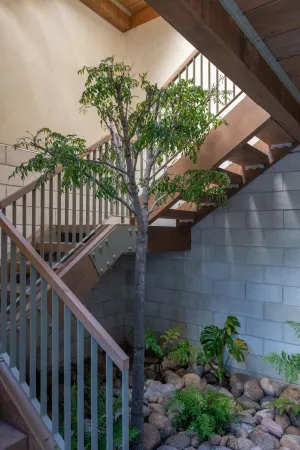 a view of entryway with flower plants