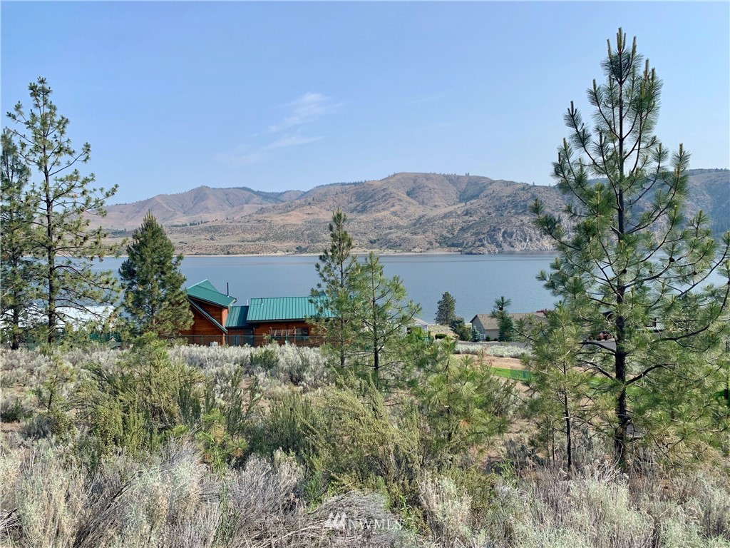 16535 Whitelaw Road East Wilbur, WA 99185 - Photo 1 of 12 Gallery Image 1