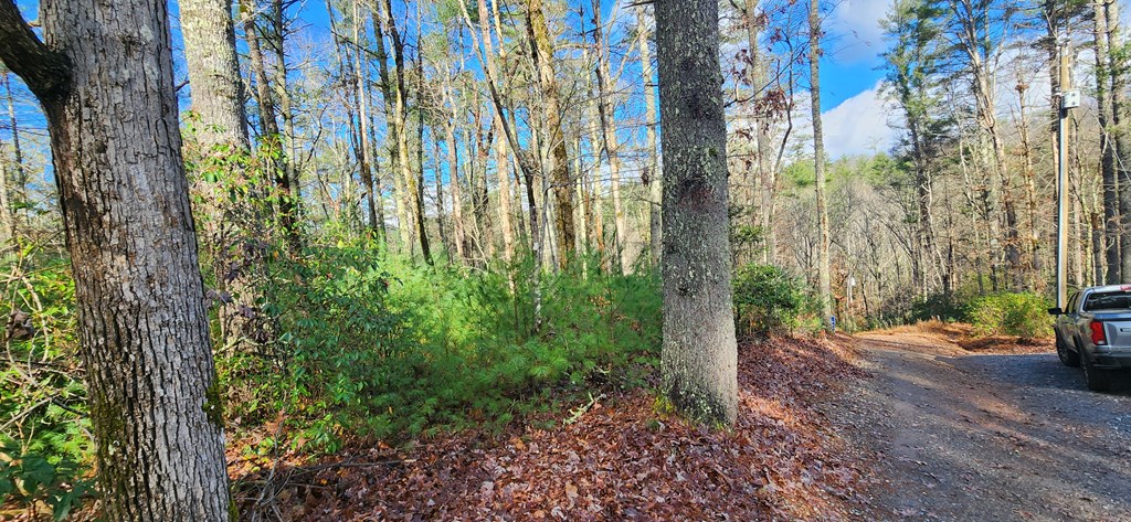 3-lots Ridgecrest Drive Blue Ridge, GA 30513 - Photo 3 of 17 Gallery Image 3