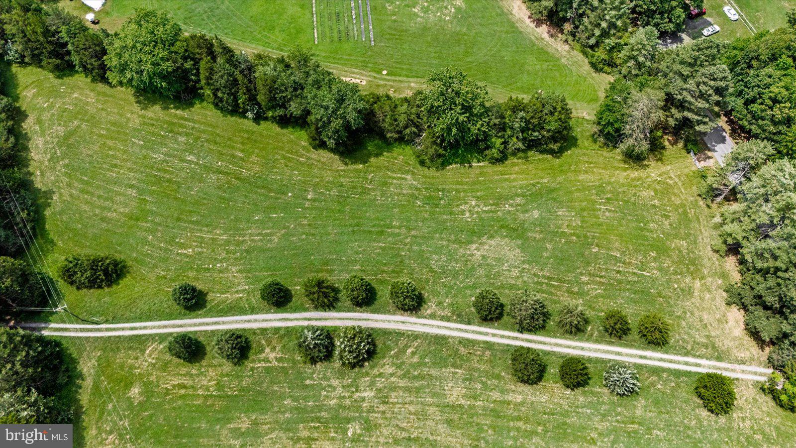 31934 Indiantown Road Locust Grove, VA 22508 - Photo 71 of 84 Serene countryside pathway unfolds.