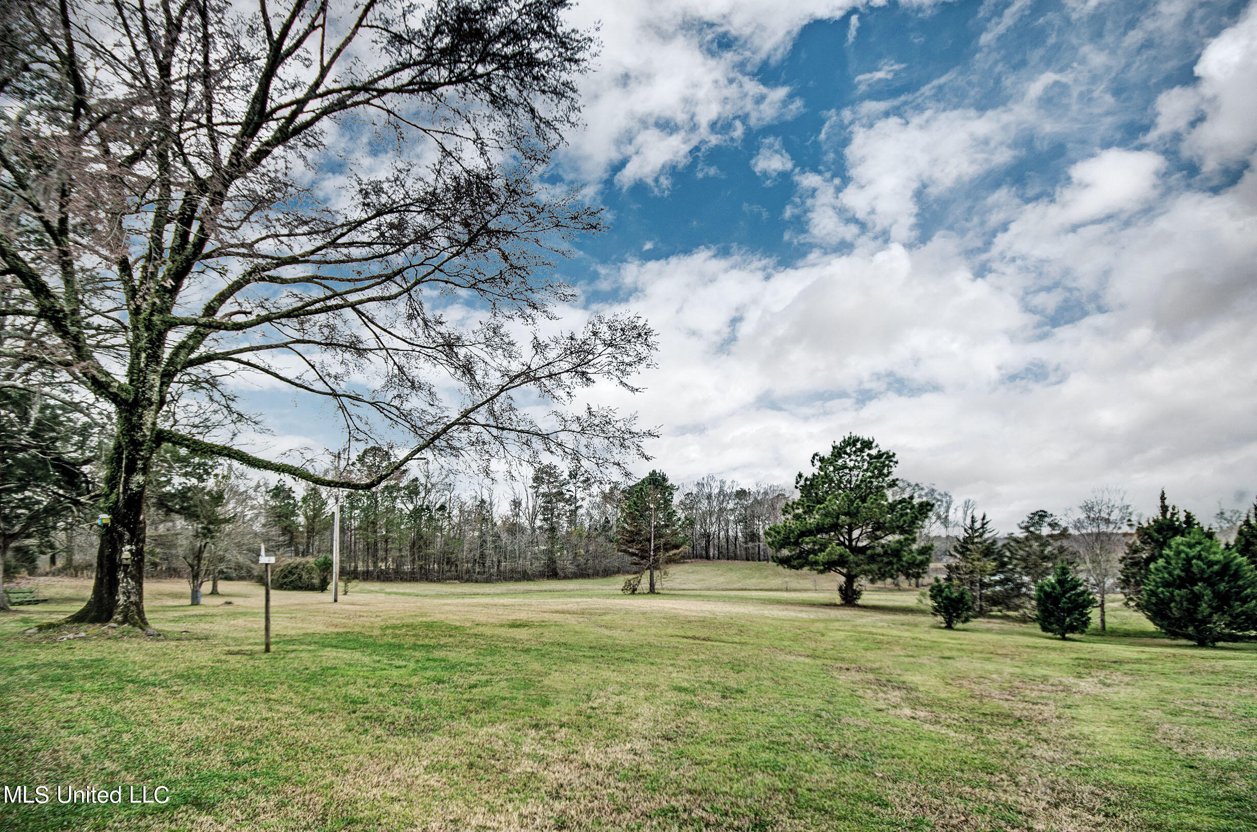 7268 Highway 467 Edwards, MS 39066 - Photo 13 of 43 IMGP0814_5_6