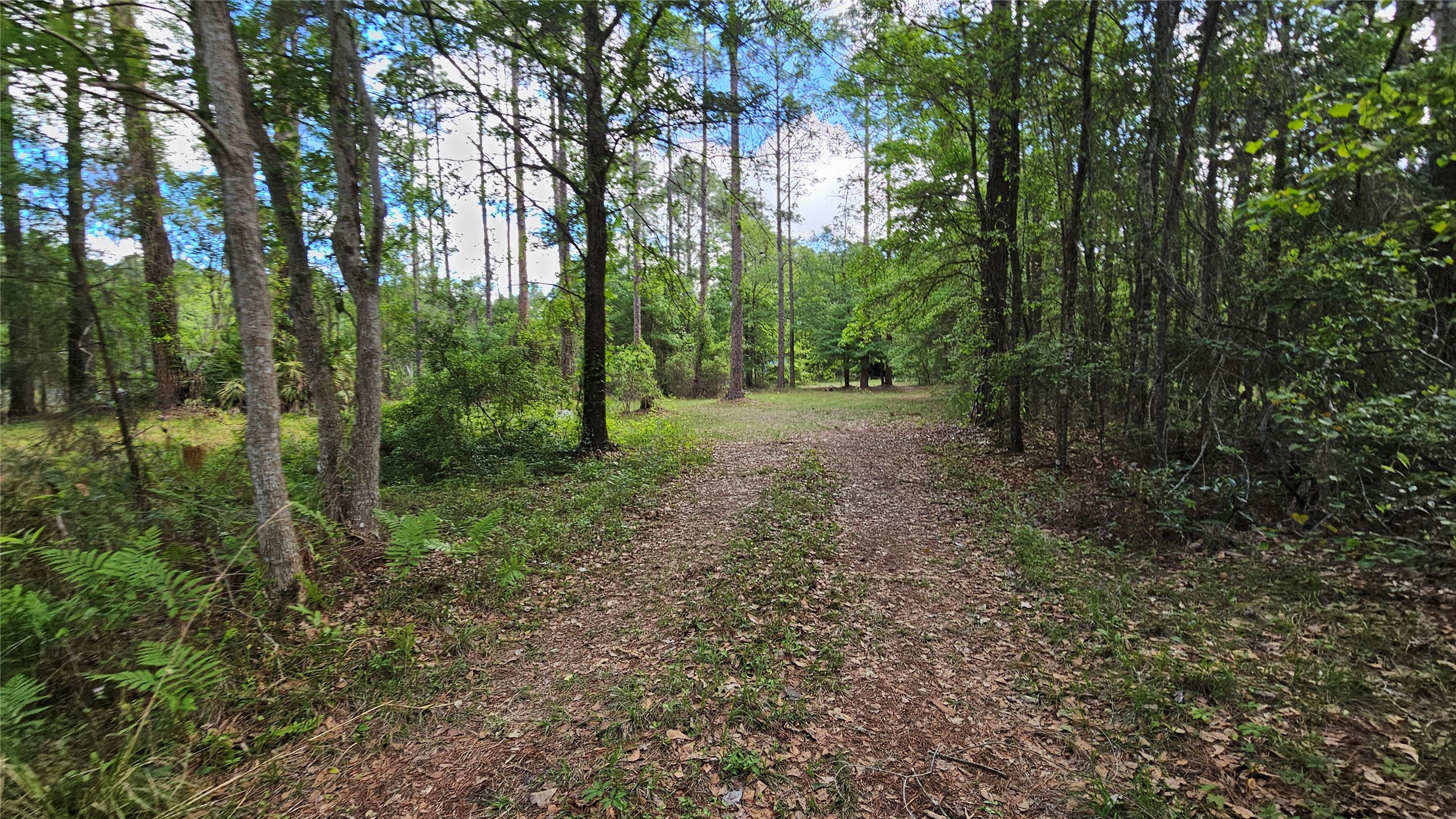 6324 Lannie Road Jacksonville, FL 32218 - Photo 37 of 60