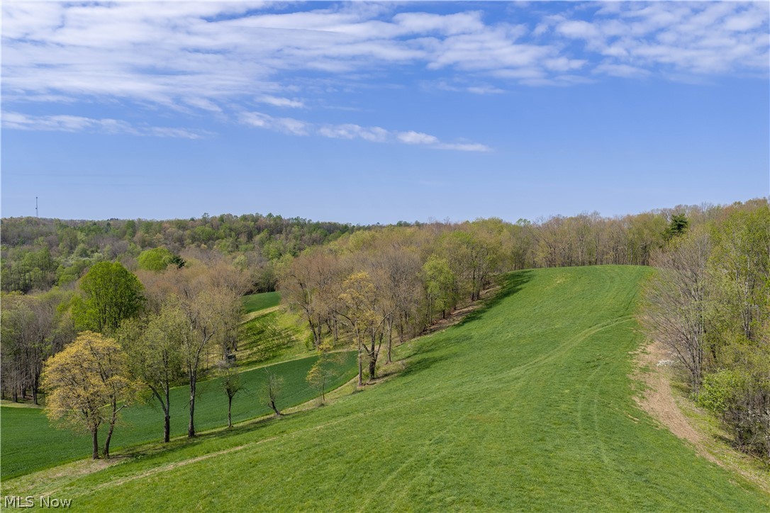 4073 Metzger Hill Road Southwest Stone Creek, OH 43840 - Photo 49 of 50