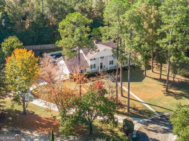 a view of a yard with plants and large trees