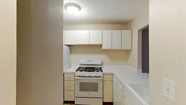 a kitchen with a stove and a sink