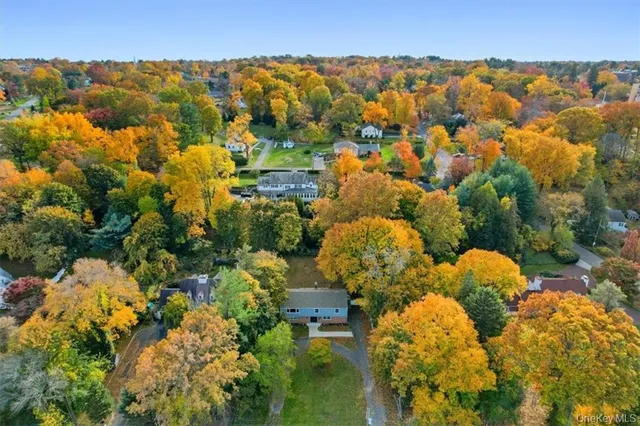 a view of a bunch of trees and houses