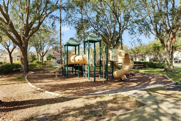 a view of a park with large trees
