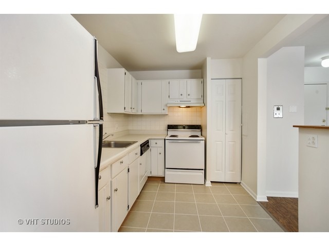 924 Ridge Square, Unit 309 Elk Grove Village, IL 60007 - Photo 6 of 12