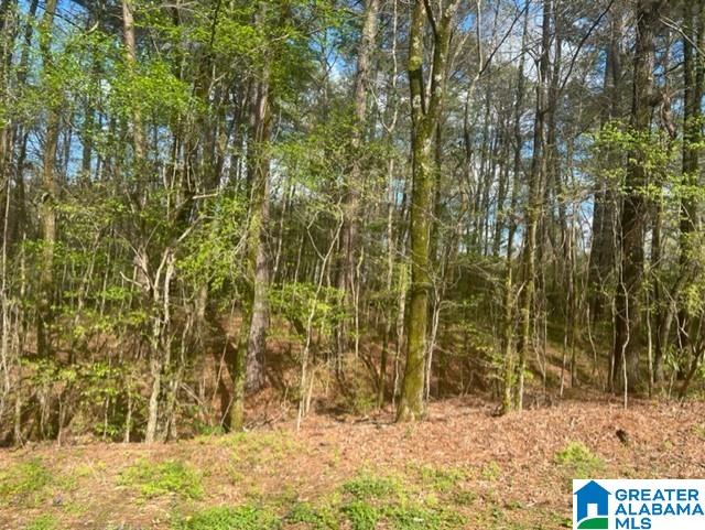 Allison Drive, Unit 27 Dora, AL 35062 - Photo 2 of 4