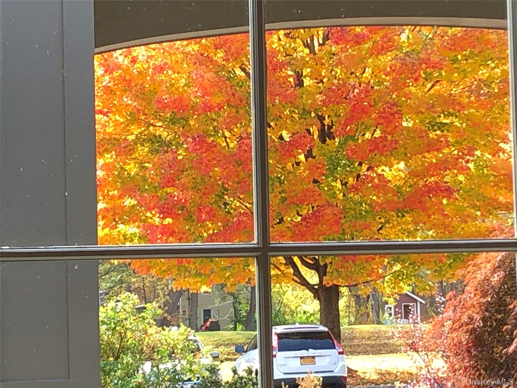 58 Wheaton Avenue Fishkill, NY 12524 - Photo 2 of 20 a view of a glass entrance from a window