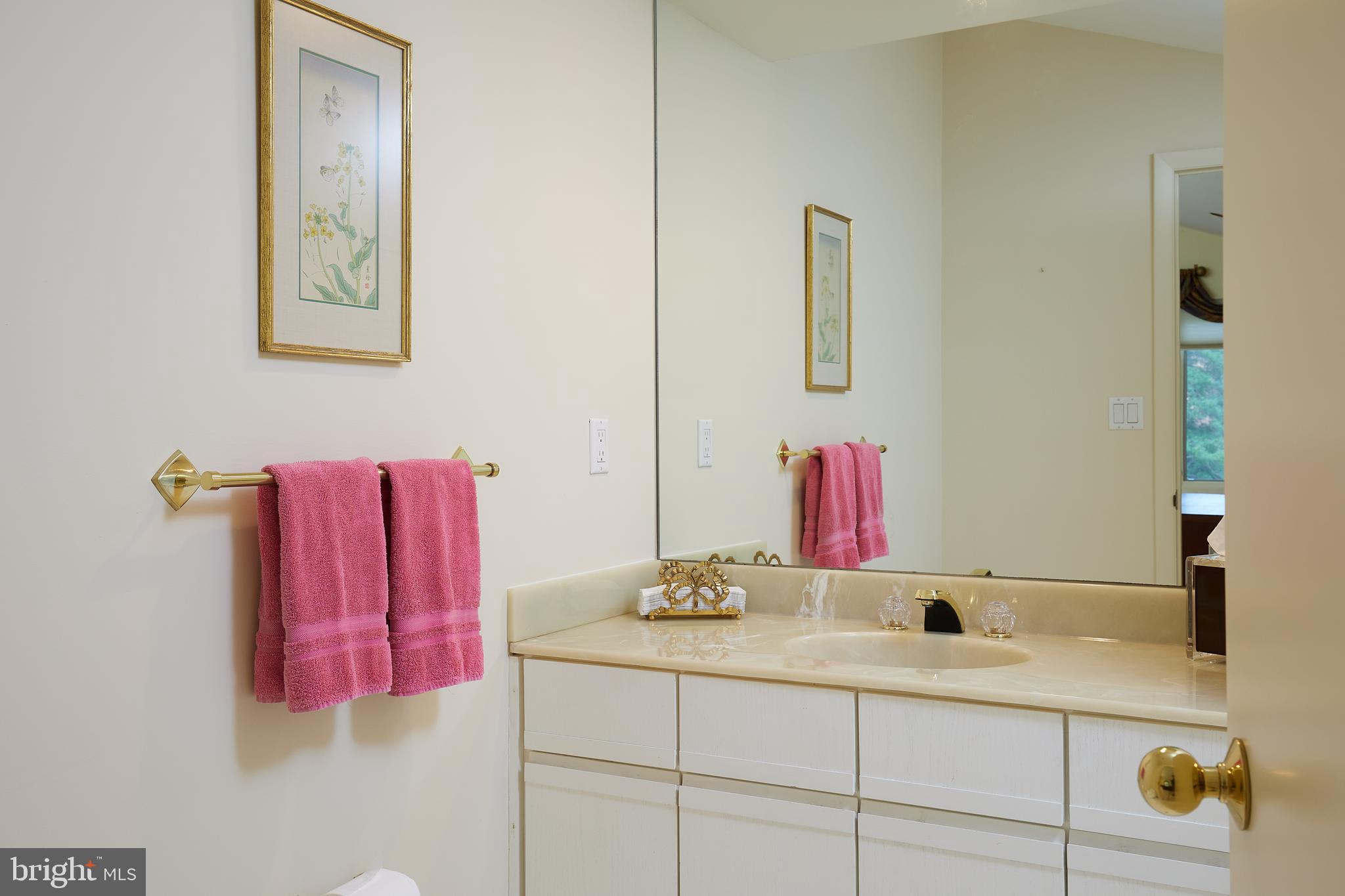 10811 Barn Wood Lane Potomac, MD 20854 - Photo 25 of 41 Ensuite Bathroom #2, Tub and SHower