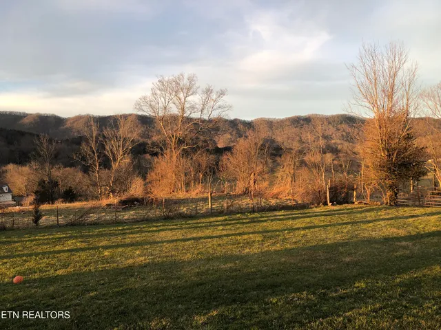 $575,000 | 162 Canary Lane, Speedwell, TN 37870