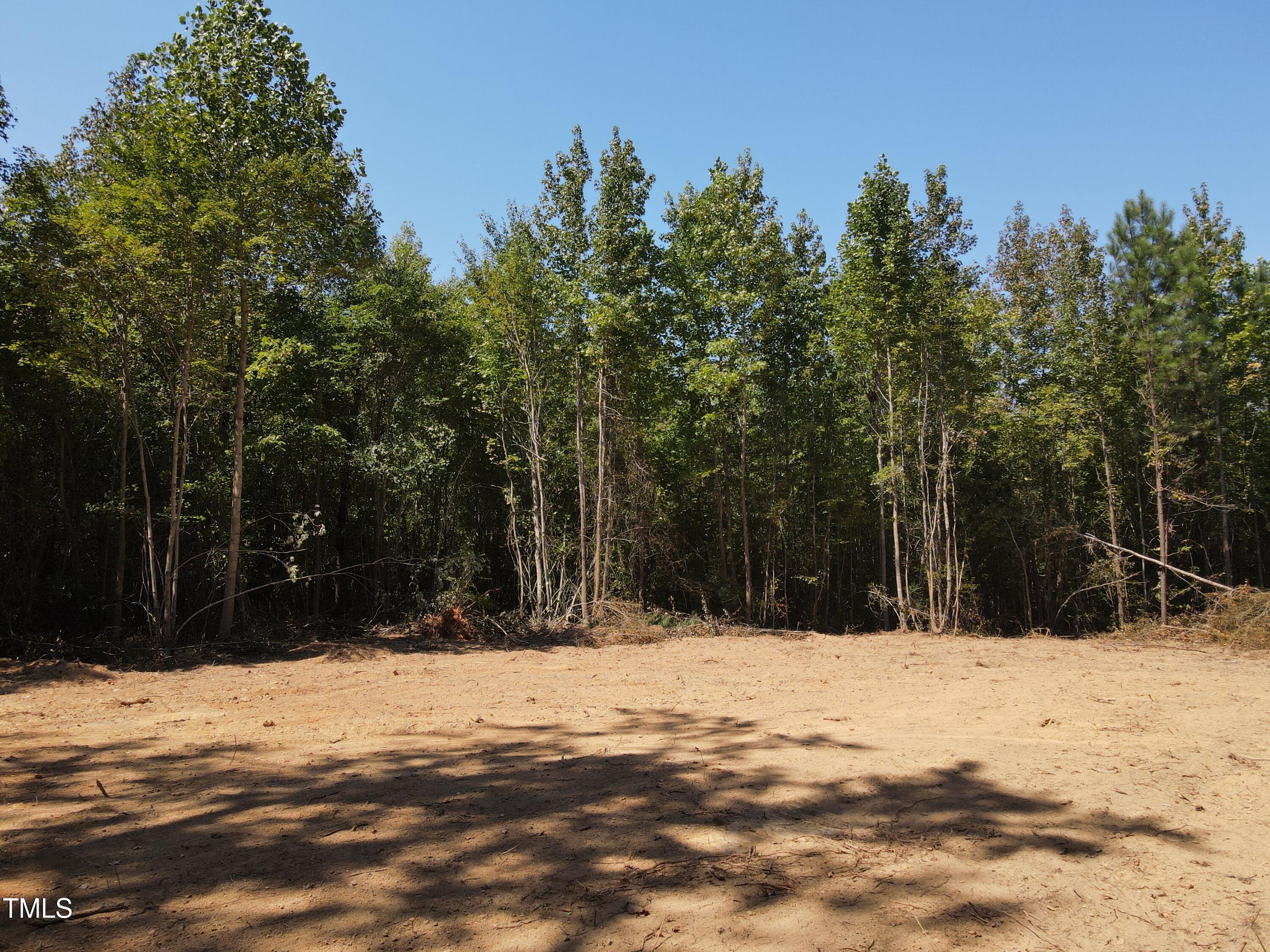 0 Alert Road Warrenton, NC 27589 - Photo 3 of 35