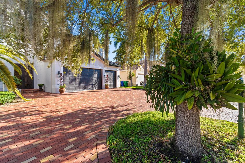 19239 Southwest 54th Street Miramar, FL 33029 - Photo 66 of 82 a tree in front of a house with a garden