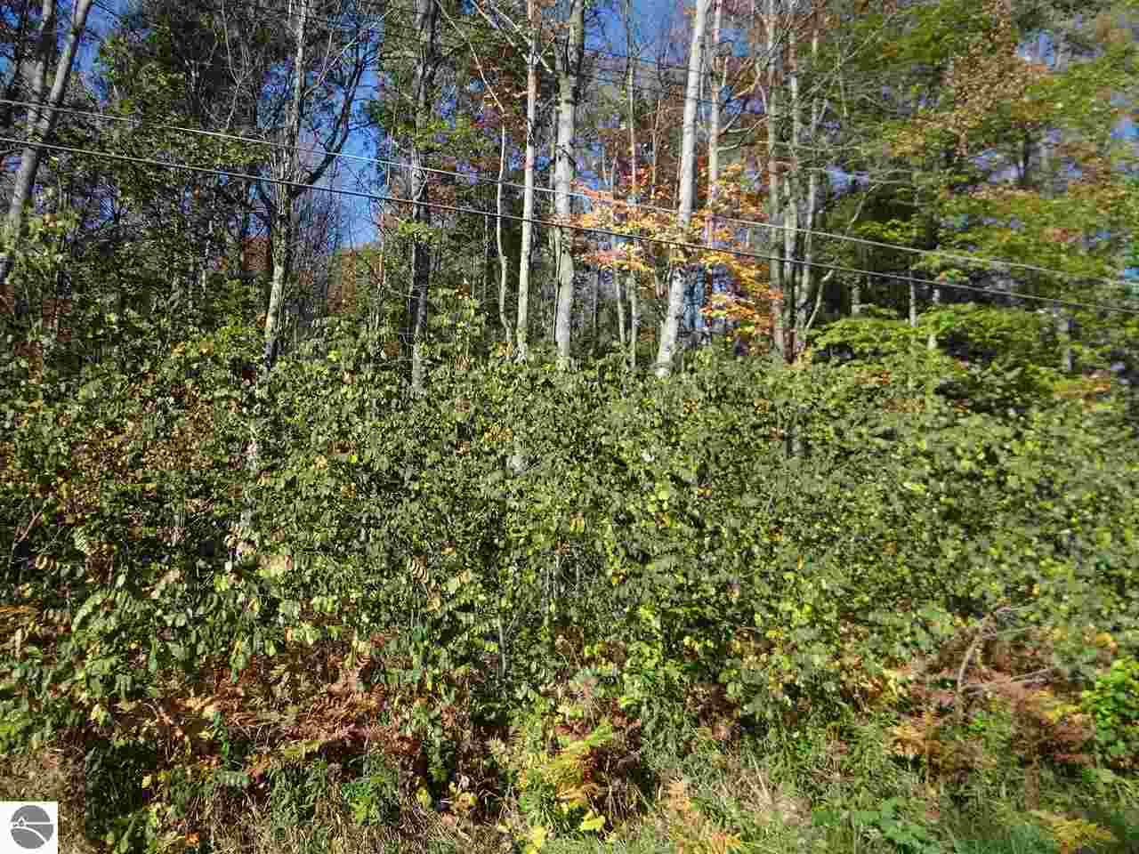 0 Scenic Road, Unit 22 & 23 Alger, MI 48610 - Photo 1 of 7