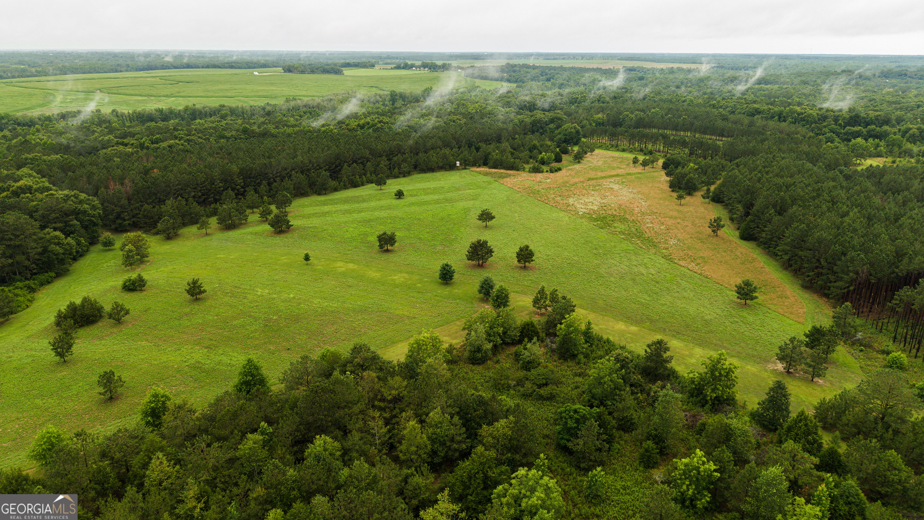 990 Highway 49 Americus, GA 31719 - Photo 7 of 121