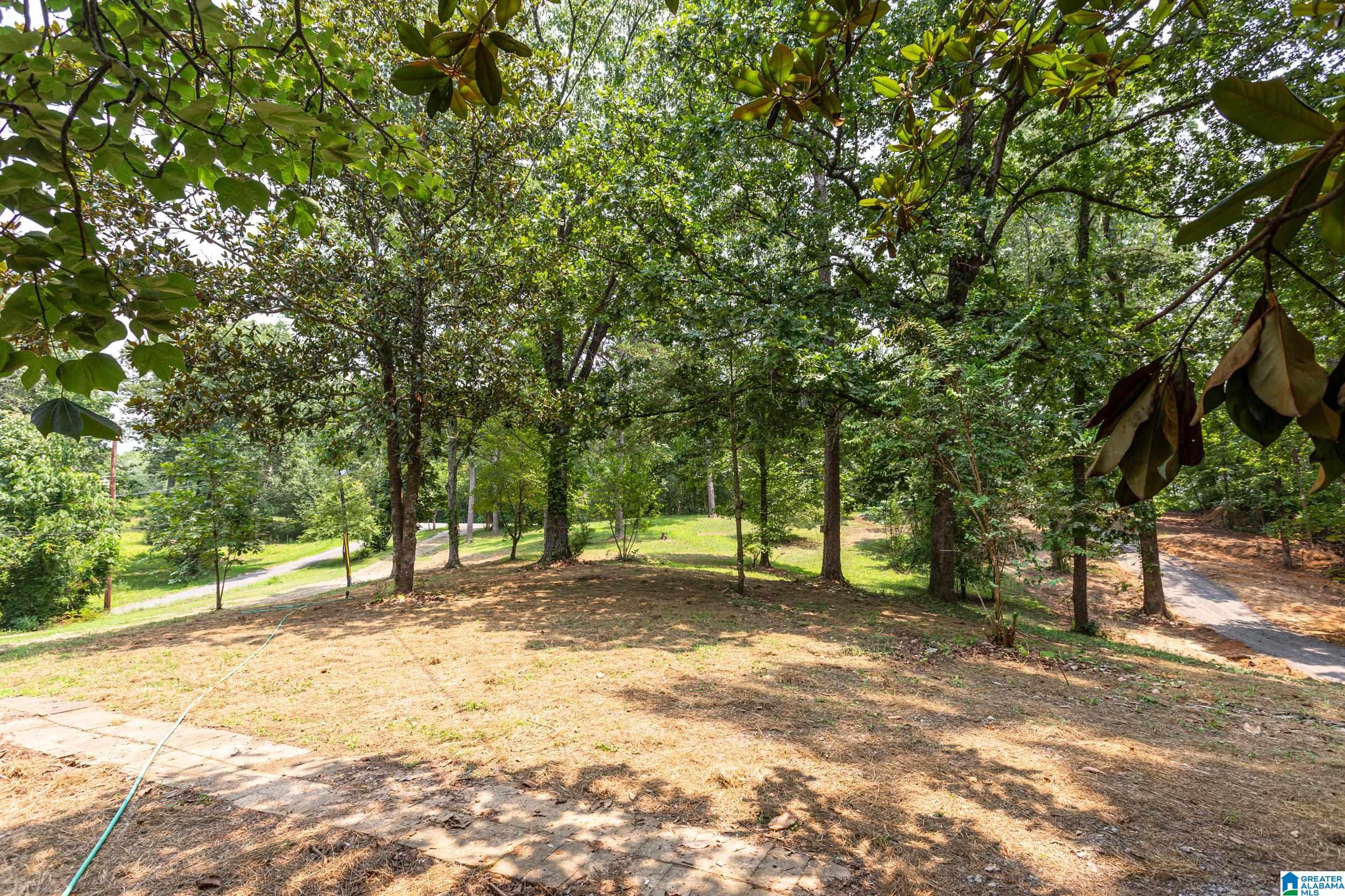 499 Annie Lee Road Trussville, AL 35173 - Photo 26 of 33