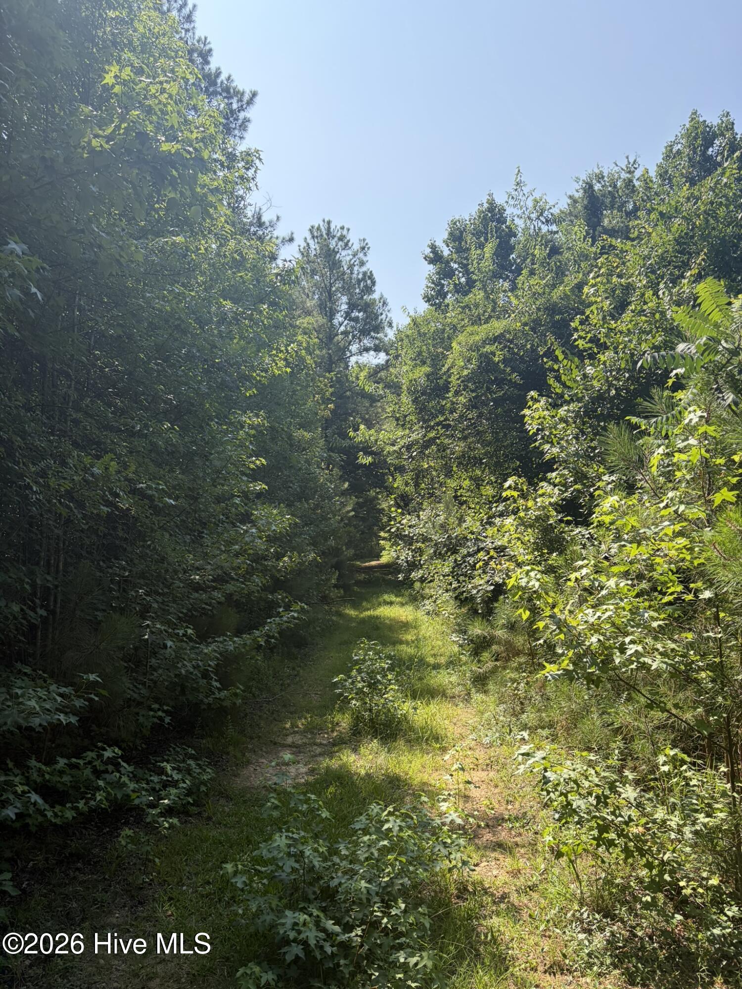 Tbd Green Road Ellerbe, NC 28338 - Photo 18 of 23