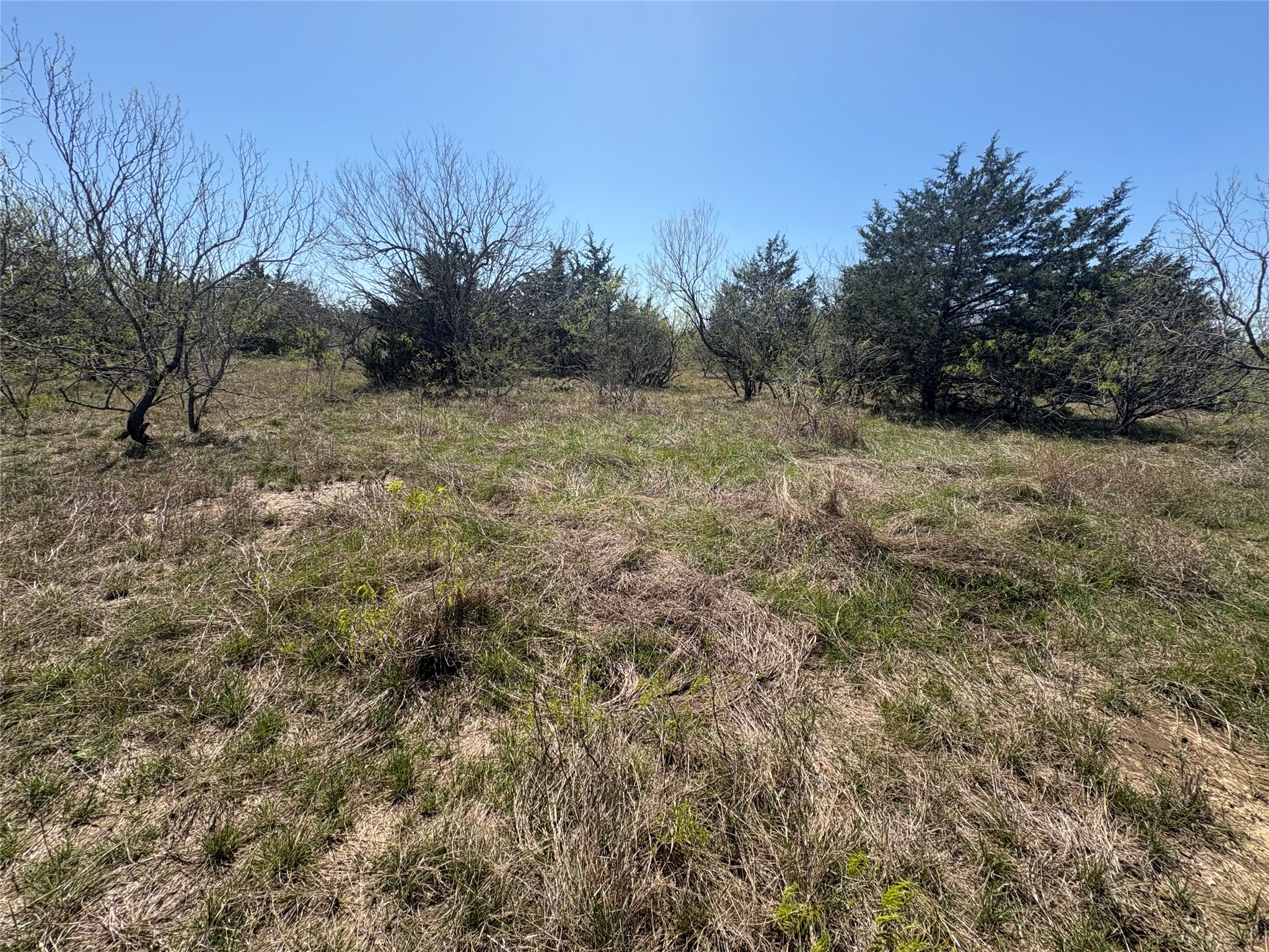 Tbd Patterson Road Flatonia, TX 78941 - Photo 13 of 35 View of local wilderness with rural landscape