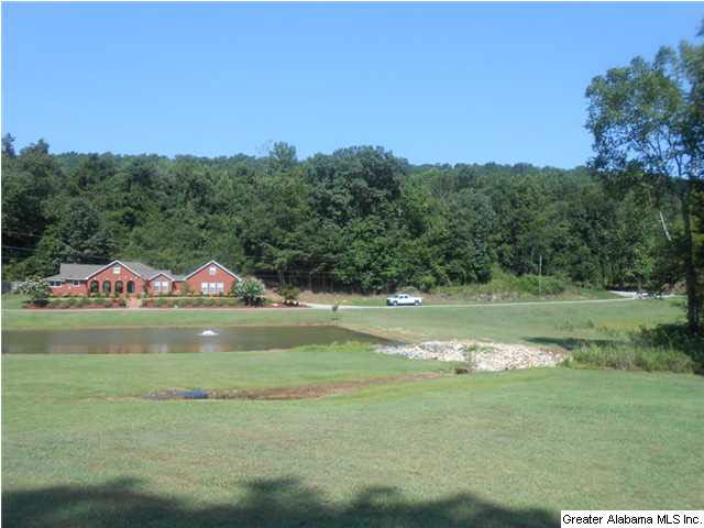 39 Price Lane Oneonta, AL 35121 - Photo 22 of 26
