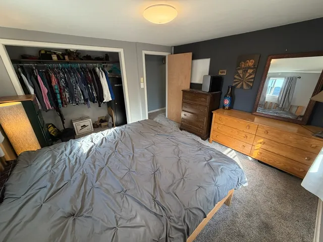 a view of a park with large trees