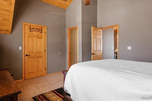 a view of a yard with plants and trees