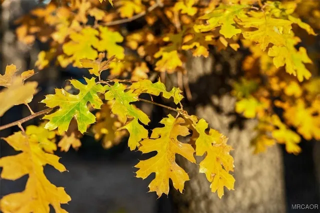 a view of a house with a iron gate