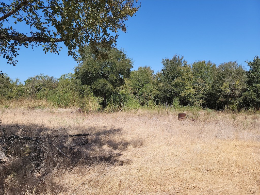 118 Monroe Lane Elgin, TX 78621 - Photo 1 of 1