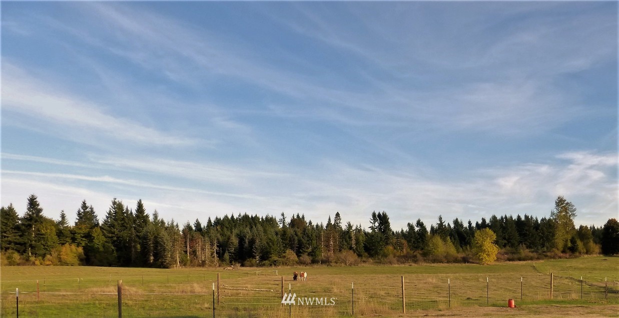 13508 Military Road Southeast Rainier, WA 98576 - Photo 3 of 25 Gallery Image 3