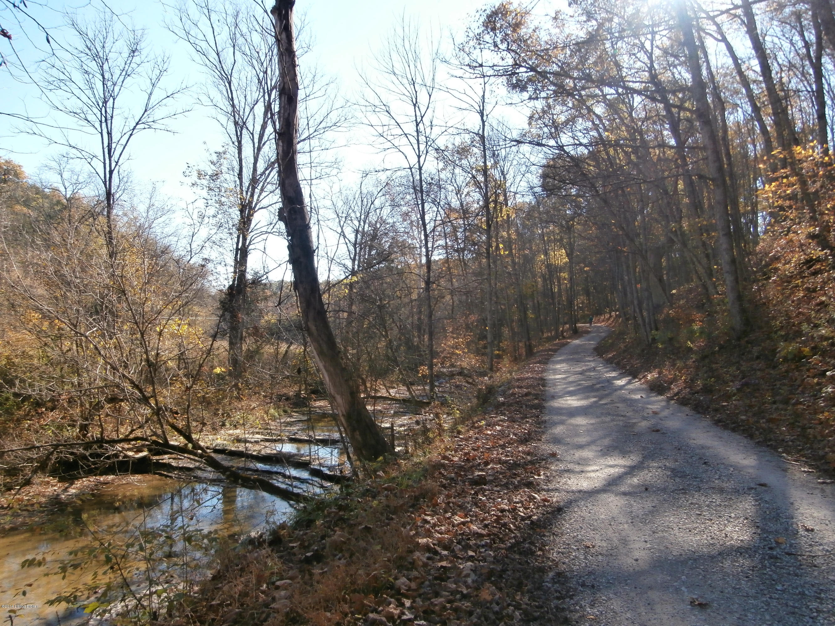 0 George Creek Road Campbellsburg, KY 40011 - Photo 14 of 15 Low traffic road along side property.