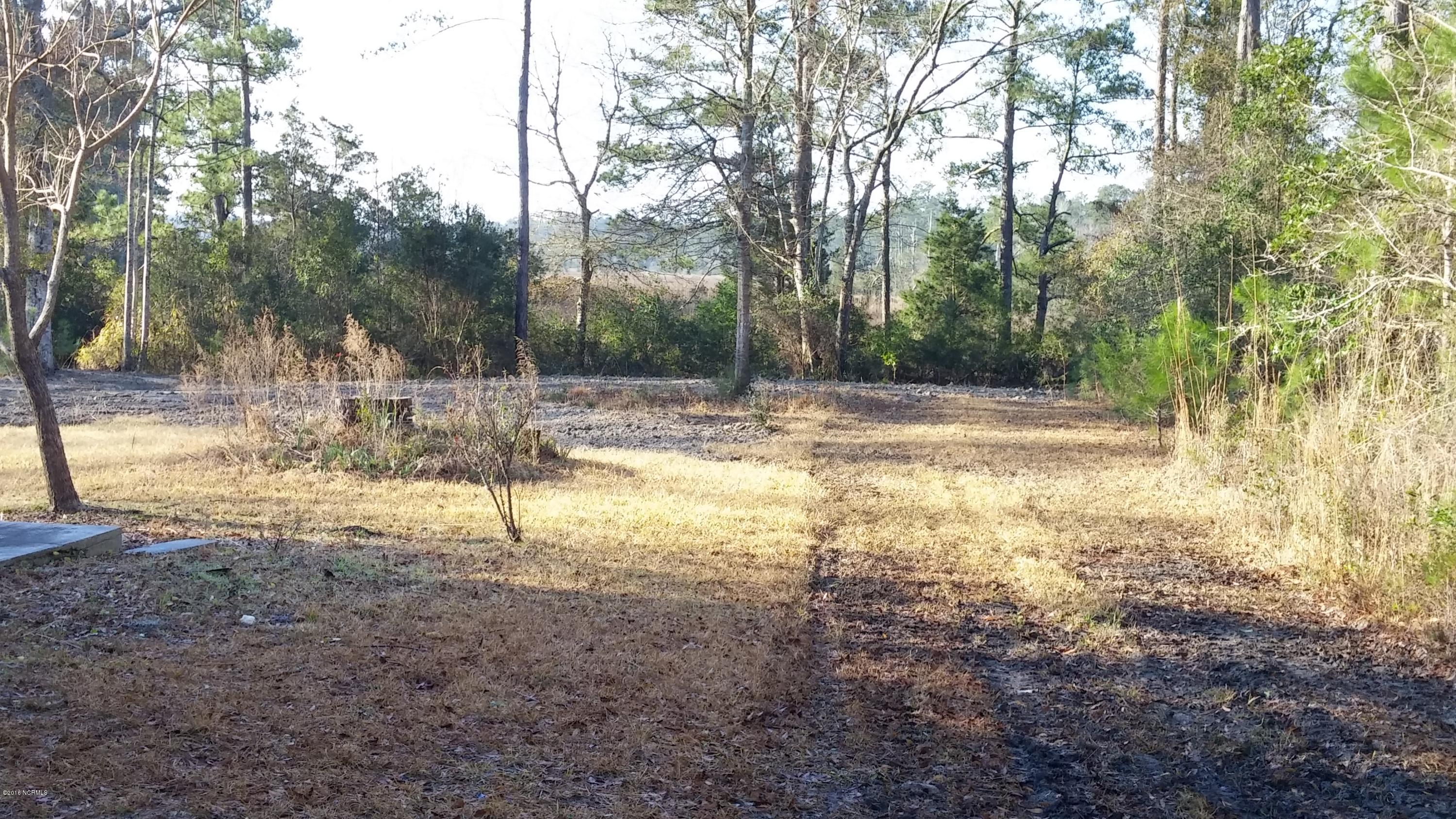 1065 Hardesty Loop Road Newport, NC 28570 - Photo 14 of 36 Rear Lot