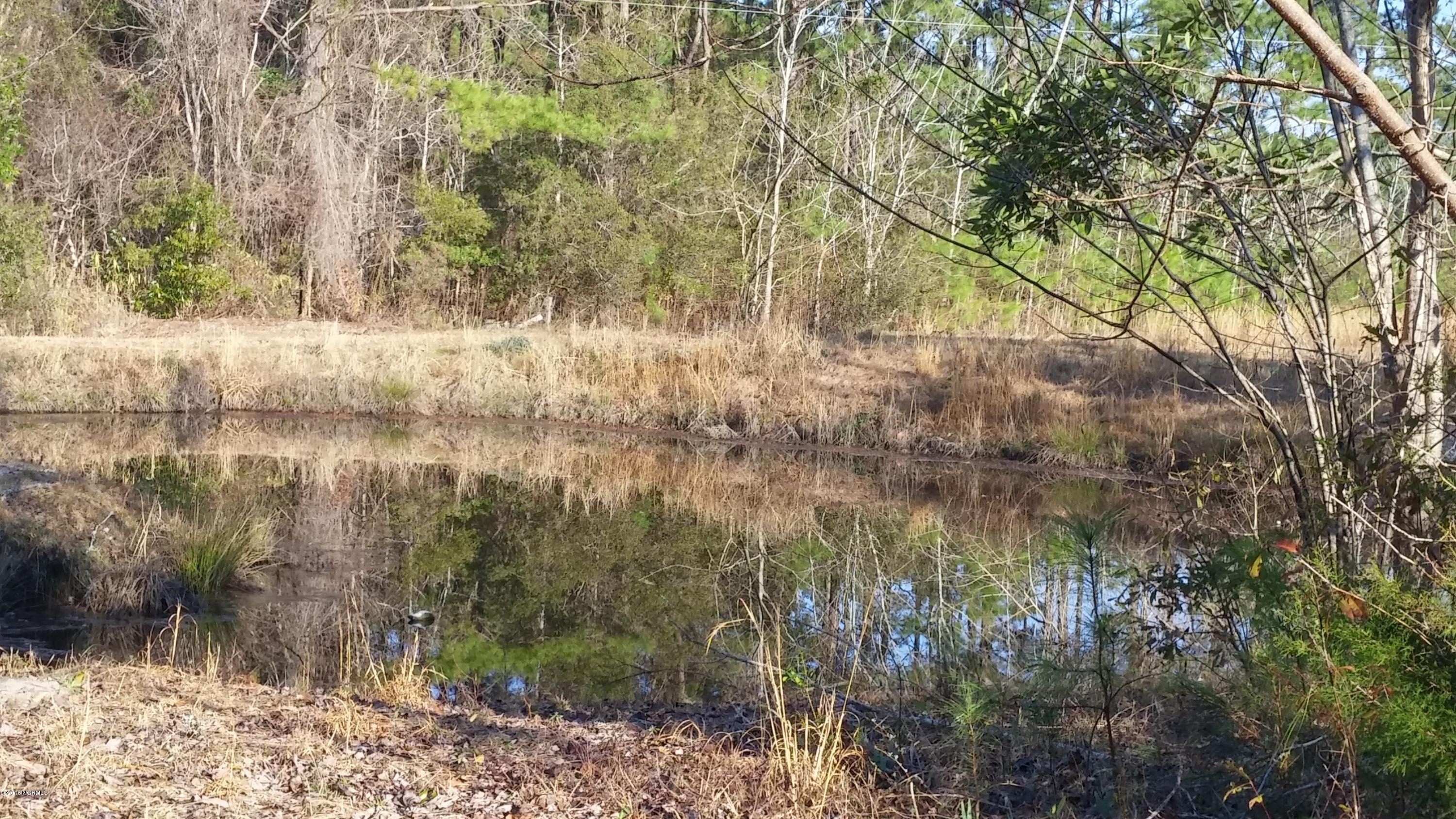1065 Hardesty Loop Road Newport, NC 28570 - Photo 15 of 36 Pondview