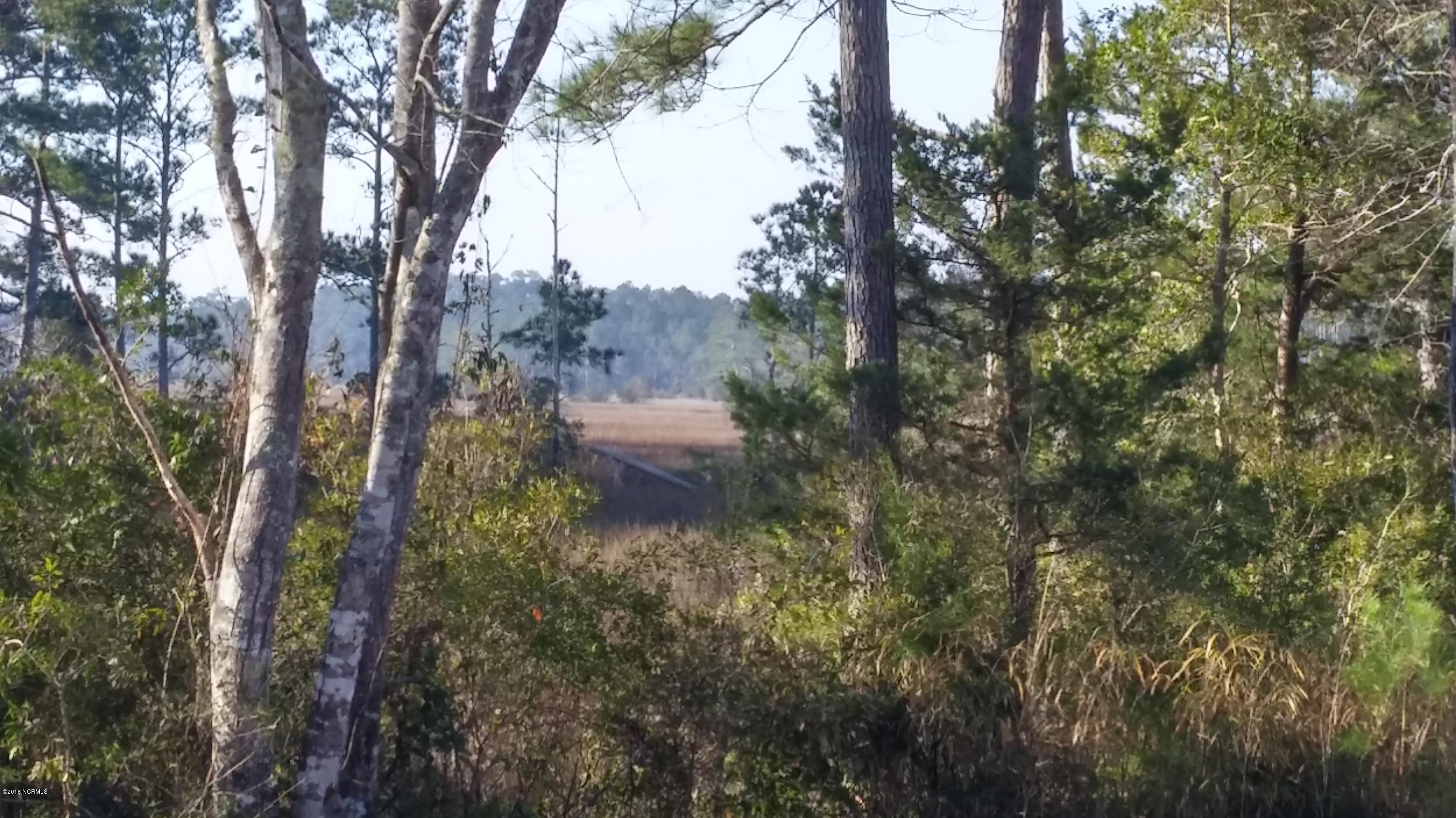 1065 Hardesty Loop Road Newport, NC 28570 - Photo 22 of 36 Marsh View