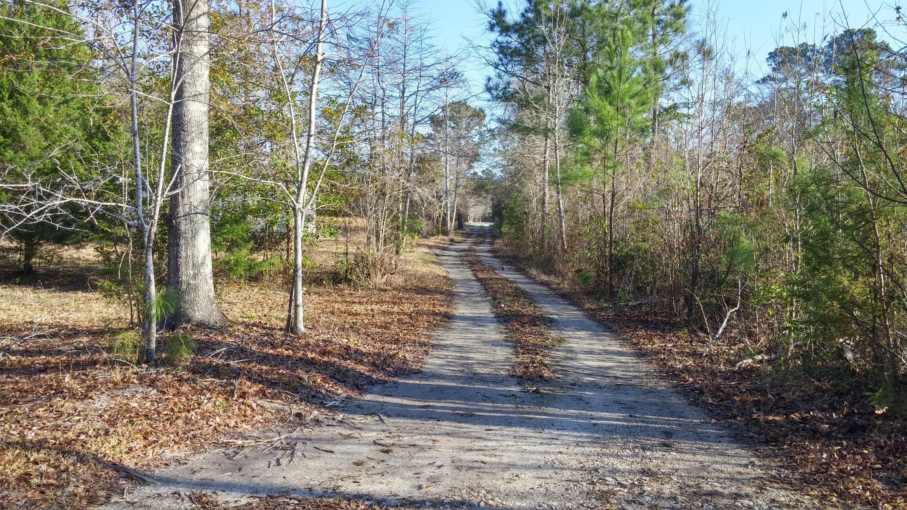 1065 Hardesty Loop Road Newport, NC 28570 - Photo 32 of 36 Drive from Residence