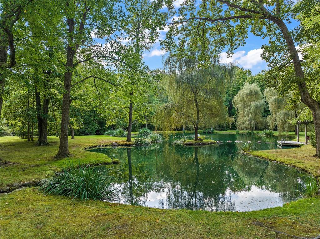 49 Babcock Road Mercer, PA 16137 - Photo 43 of 49 a view of a lake with a yard and large trees