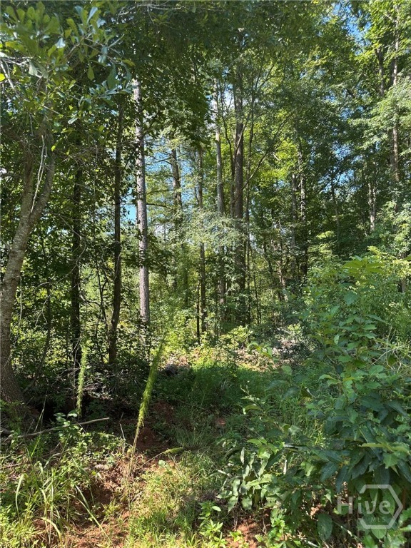 0 Fears Rutledge, GA 30663 - Photo 11 of 35