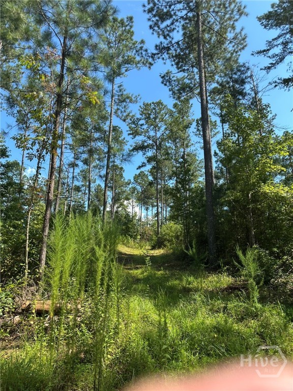 0 Fears Rutledge, GA 30663 - Photo 12 of 35