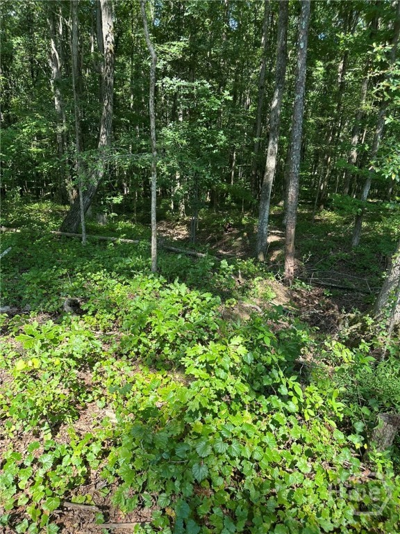 0 Fears Rutledge, GA 30663 - Photo 13 of 35