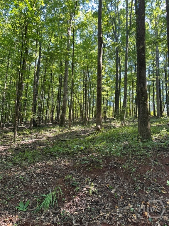 0 Fears Rutledge, GA 30663 - Photo 14 of 35