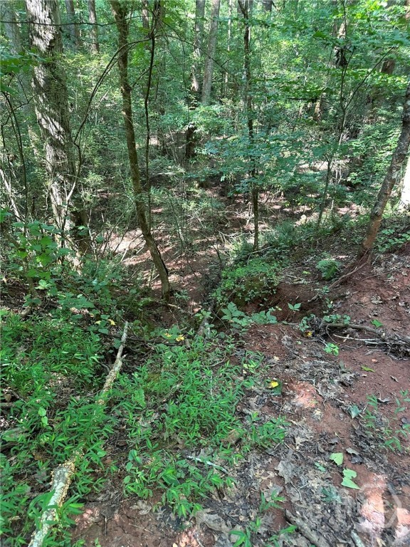 0 Fears Rutledge, GA 30663 - Photo 16 of 35