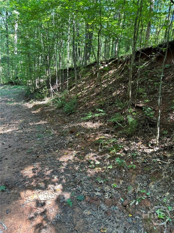 0 Fears Rutledge, GA 30663 - Photo 17 of 35