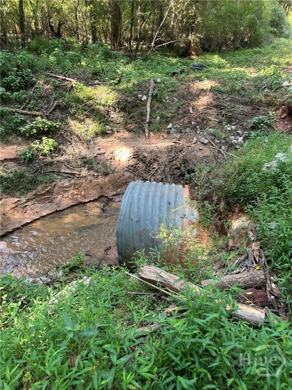 0 Fears Rutledge, GA 30663 - Photo 19 of 35