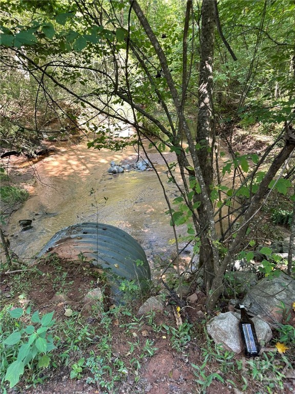 0 Fears Rutledge, GA 30663 - Photo 21 of 35