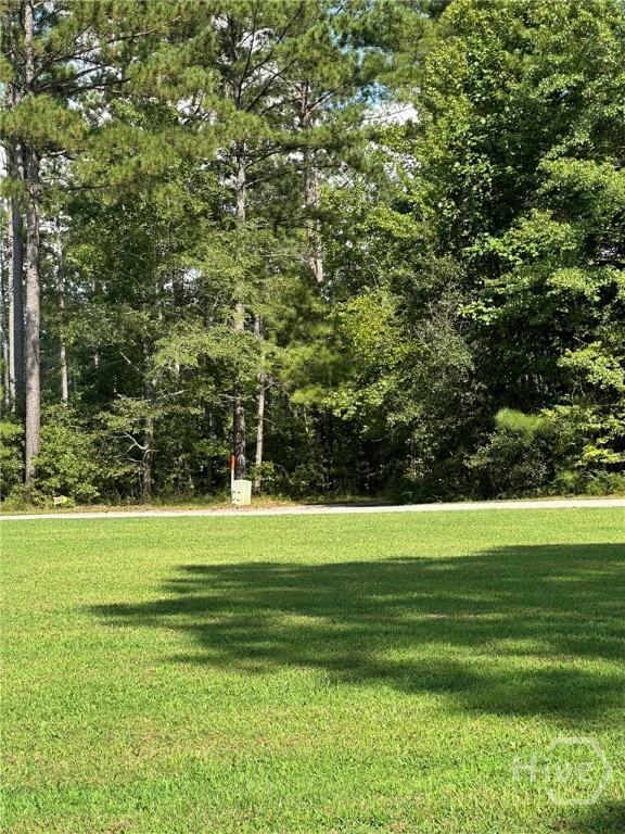 0 Fears Rutledge, GA 30663 - Photo 28 of 35