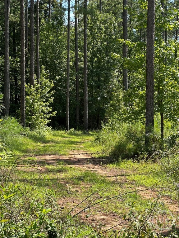 0 Fears Rutledge, GA 30663 - Photo 29 of 35