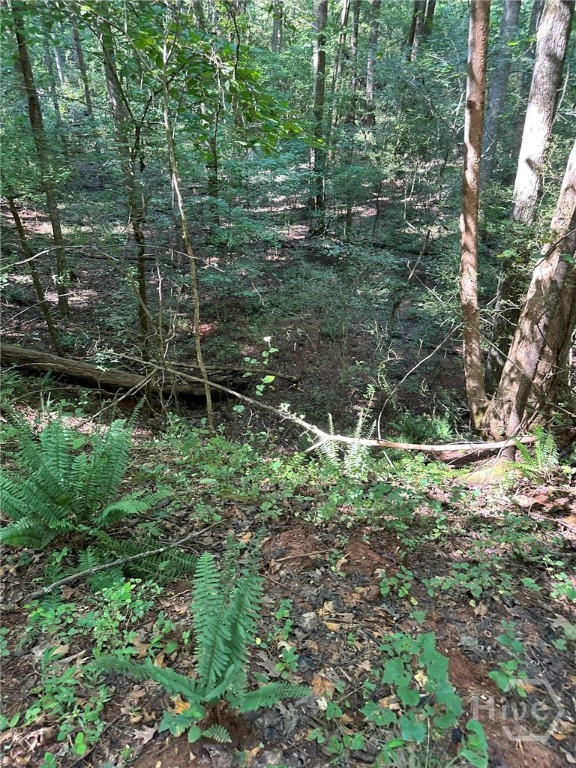 0 Fears Rutledge, GA 30663 - Photo 3 of 35