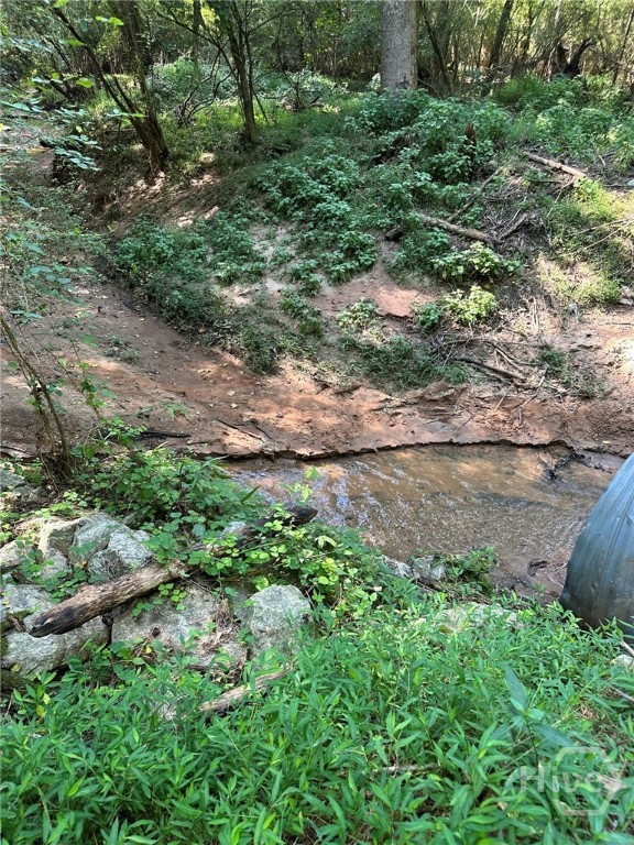 0 Fears Rutledge, GA 30663 - Photo 35 of 35